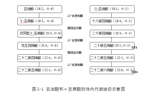 营养师培训课堂:常见的脂类的分类有哪些？