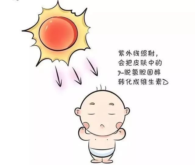 营养健康“晒太阳”的小知识